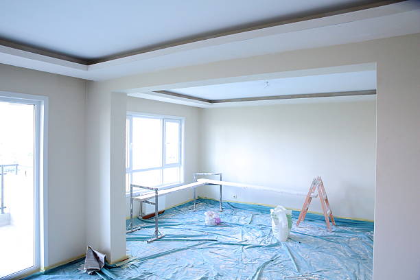 Best Repainting for Renovations  in Ellisville, MO